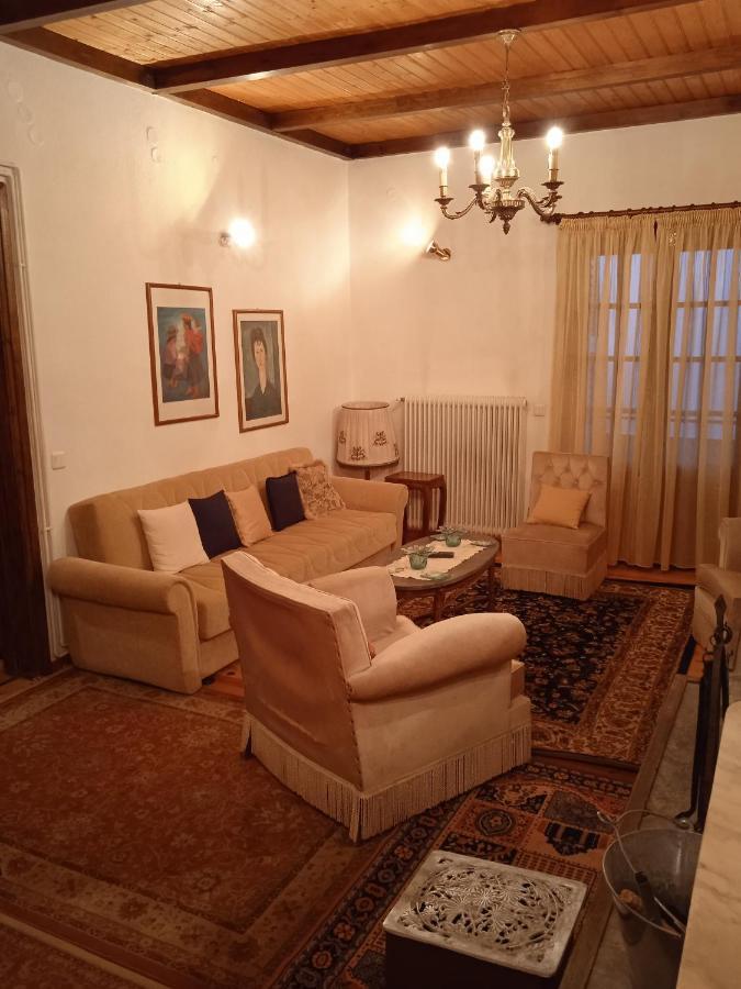 Balkone In Montagna Villa Metsovo Ngoại thất bức ảnh